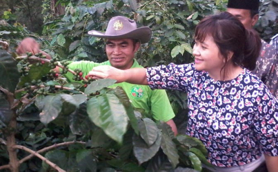 Bondowoso Target Eskpor 1.500 Ton Kopi