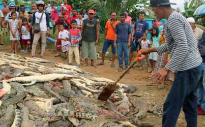 Pembantaian Buaya