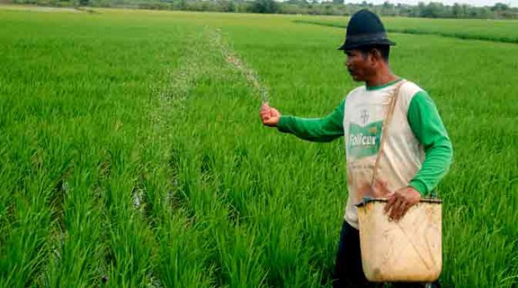 Petani Rembang Protes Kewajiban Beli Pupuk Phonska Petani Rembang Protes Kewajiban Beli Pupuk Phonska