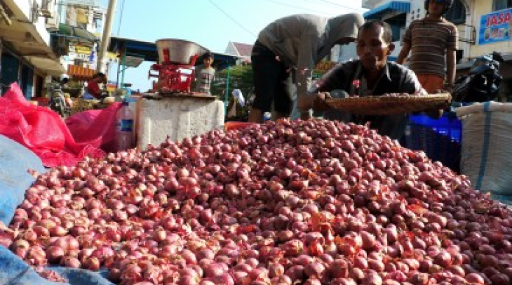 Harga Bibit Bawang Merah Melonjak Harga Bibit Bawang Merah Melonjak