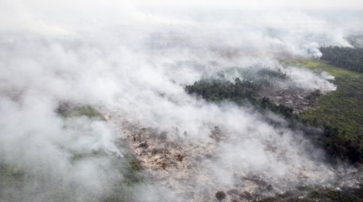 Pembakaran Hutan Riau, Protes Negeri Jiran Momentum Perbaiki Lingkungan Pembakaran Hutan Riau, Protes Negeri Jiran Momentum Perbaiki Lingkungan