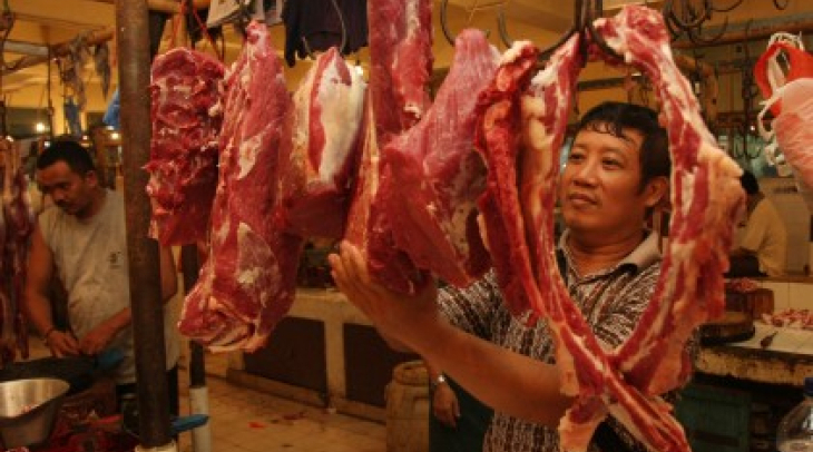 Bulan Depan, Pemerintah Impor 30.000 Ekor Sapi Bulan Depan, Pemerintah Impor 30.000 Ekor Sapi