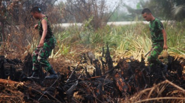 KADIN Riau Keluhkan Penanganan Kabut Asap KADIN Riau Keluhkan Penanganan Kabut Asap