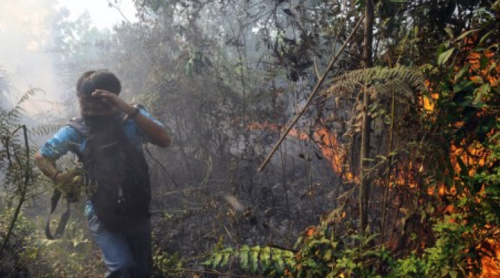 Jumlah Titik Api di Riau Capai Rekor Jumlah Titik Api di Riau Capai Rekor