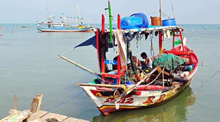 Vonis Sarkum Bikin Takut Nelayan Lampung Vonis Sarkum Bikin Takut Nelayan Lampung