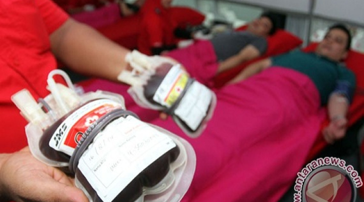 NTT Butuh 2 Ribu Kantong Darah Per Bulan NTT Butuh 2 Ribu Kantong Darah Per Bulan
