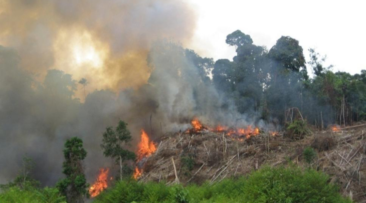 Karhutla, BPBD Banyuwangi Deteksi 8 Titik panas di Gunung Merapi Karhutla, BPBD Banyuwangi Deteksi 8 Titik panas di Gunung Merapi